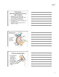 Prokaryotes (Domains Bacteria & Archaea)