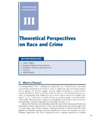 SECTION III Theoretical Perspectives on Race and Crime READING