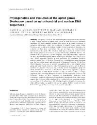 Phylogenetics and Evolution of the Aphid Genus Uroleucon Based on Mitochondrial and Nuclear DNA Sequences