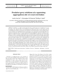 Predator-Prey Relations at a Spawning Aggregation Site of Coral Reef Fishes