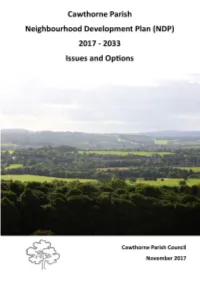 Cawthorne Parish NDP Issues and Options V5 031017