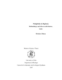 Differences in Life History Traits and Quantities of DNA/RNA and Protein