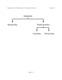 Helminths Nematodes Platyhelminths Cestodes Trematodes