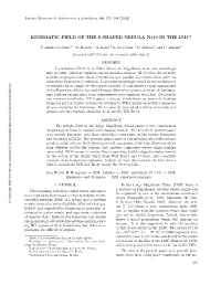 Kinematic Field of the S-Shaped Nebula N119 in the Lmc1