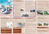 Shatin to Central Link Give Passengers a Range of Options for Their Onward Journeys