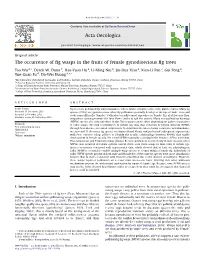 The Occurrence of Fig Wasps in the Fruits of Female Gynodioecious Fig