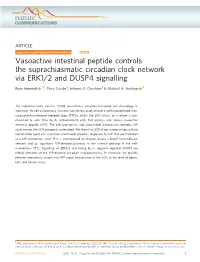 Vasoactive Intestinal Peptide Controls the Suprachiasmatic Circadian Clock Network Via ERK1/2 and DUSP4 Signalling