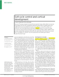 Cell-Cycle Control and Cortical Development