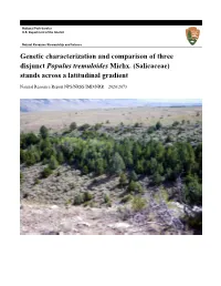 Genetic Characterization and Comparison of Three Disjunct Populus Tremuloides Michx