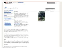 Identify Fig - Manage the Common Fig - Ficus Carica