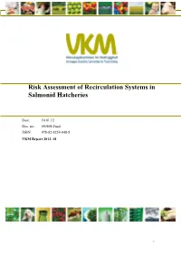 Risk Assessment of Recirculation Systems in Salmonid Hatcheries
