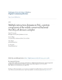 Multiple Interaction Domains in Ftsl, a Protein Component of the Widely Conserved Bacterial Ftslbq Cell Division Complex Mark D