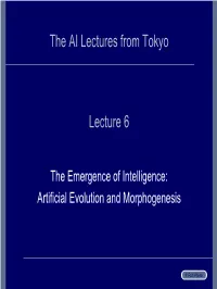 The AI Lectures from Tokyo Lecture 6