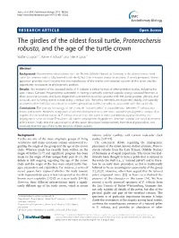 The Girdles of the Oldest Fossil Turtle, Proterochersis Robusta, and the Age of the Turtle Crown Walter G Joyce1,2*, Rainer R Schoch3 and Tyler R Lyson4