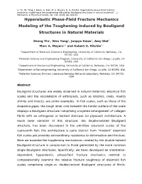 Hyperelastic Phase-Field Fracture Mechanics Modeling of the Toughening Induced by Bouligand Structures in Natural Materials”, J