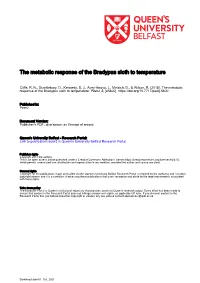 The Metabolic Response of the Bradypus Sloth to Temperature