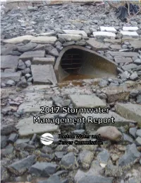 2017 Stormwater Management Report