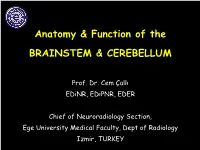 Anatomy & Function of the BRAINSTEM & CEREBELLUM