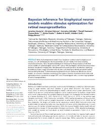 Bayesian Inference for Biophysical Neuron Models Enables Stimulus