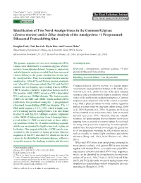 Identification of Two Novel Amalgaviruses in the Common