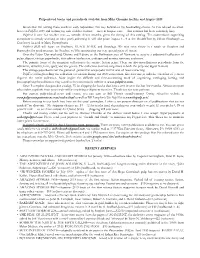 2019-07-08 Catalog P