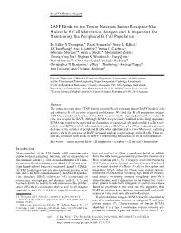 BAFF Binds to the Tumor Necrosis Factor Receptor–Like Molecule B Cell Maturation Antigen and Is Important for Maintaining the Peripheral B Cell Population