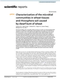 Characterization of the Microbial Communities in Wheat Tissues And