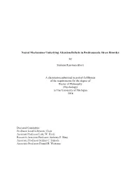 Neural Mechanisms Underlying Attention Deficits in Posttraumatic Stress Disorder
