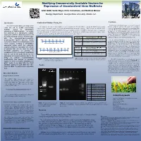 Poster Template V1