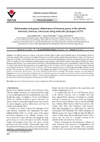 Astereae, Asteraceae) Using Molecular Phylogeny of ITS