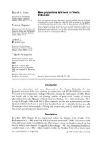 New Platyrrhine Tali from La Venta, Colombia Department of Anthropology, Northern Illinois University, Dekalb, Illinois 60115