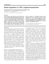 Smad Regulation in TGF-(Beta) Signal Transduction