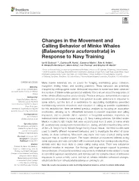 Changes in the Movement and Calling Behavior of Minke Whales (Balaenoptera Acutorostrata) in Response to Navy Training