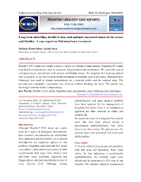 Long-Term Indwelling Double-J Stent and Multiple Encrusted Stones in the Ureter and Bladder: a Case Report on Holmium Laser Treatment