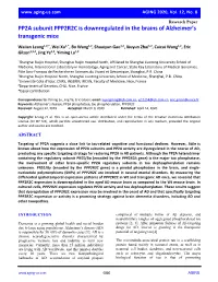PP2A Subunit PPP2R2C Is Downregulated in the Brains of Alzheimer’S Transgenic Mice
