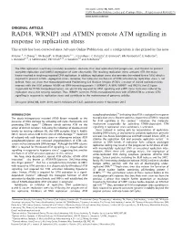 RAD18, WRNIP1 and ATMIN Promote ATM Signalling in Response to Replication Stress