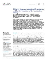 Chloride Channels Regulate Differentiation and Barrier Functions