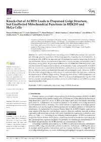 Knock-Out of ACBD3 Leads to Dispersed Golgi Structure, but Unaffected Mitochondrial Functions in HEK293 and Hela Cells
