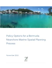 Policy Options for a Bermuda Nearshore Marine Spatial Planning Process