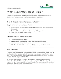 What Is Enterocutaneous Fistula?