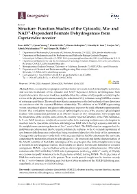 And NAD+-Dependent Formate Dehydrogenase from Cupriavidus Necator