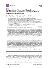 Insights Into the Toxicity and Degradation Mechanisms of Imidacloprid Via Physicochemical and Microbial Approaches