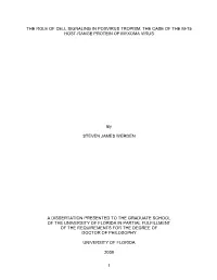 University of Florida Thesis Or Dissertation Formatting