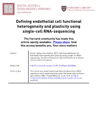 Defining Endothelial Cell Functional Heterogeneity and Plasticity Using Single-Cell RNA-Sequencing