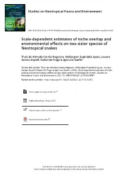 Scale-Dependent Estimates of Niche Overlap and Environmental Effects on Two Sister Species of Neotropical Snakes