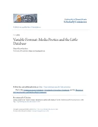 Variable Format: Media Poetics and the Little Database