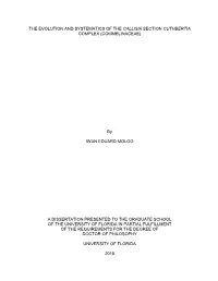 University of Florida Thesis Or Dissertation Formatting Template