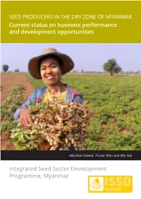 Current Status on Business Performance and Development Opportunities