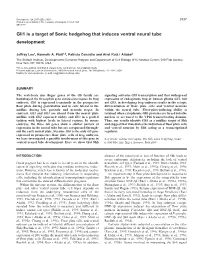 Gli1 Is a Target of Sonic Hedgehog That Induces Ventral Neural Tube Development