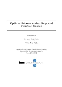 Optimal Sobolev Embeddings and Function Spaces